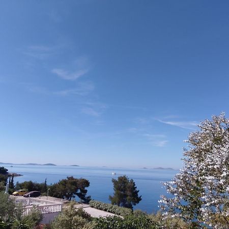 Amazing Villa Galeb In Муртер Стая снимка